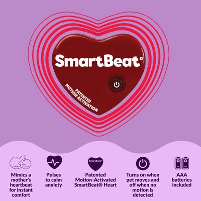 Show full view: Snuggle Puppy Snuggle Kitty Plush Dog Toy, Gray & White slide 5 of 8