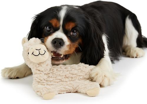 Show full view: Nandog My BFF The Alpaca Dog Toy, Beige, 10 x 5 inches slide 2 of 6