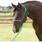 Show in main carousel: Equisential by Professional's Choice Rope Horse Halter with Lead, Turquoise, 8-ft long slide 1 of 2