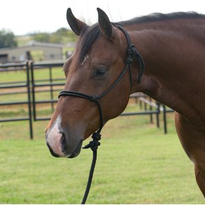 Professional's Choice Rope Horse Halter with Lead, Black, 10-ft