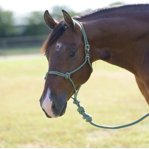 Professional's Choice Easy On Rope Horse Halter with Lead, Emerald, 10-ft