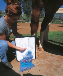 Professional's Choice Six Pocket Ice Horse Boots, Black, 2 count slide 2 of 2