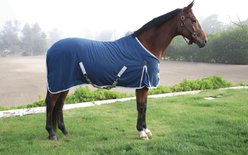 Professional's Choice Horse Cotton Day Sheet, Nav/Silver, 68-in