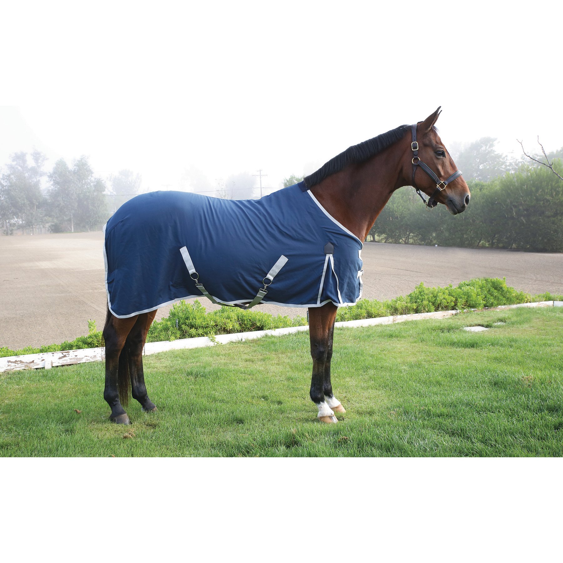 Professional's Choice Cotton Horse Stable Sheet, Nav/Silver, 82-in