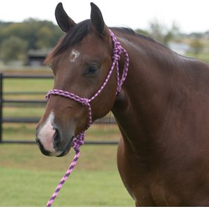 Equisential by Professional's Choice Rope Horse Halter with Lead, Wine/Pink, 8-ft long