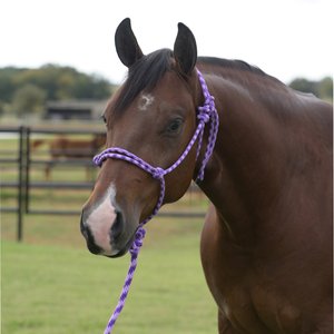 Equisential by Professional's Choice Rope Horse Halter with Lead, Purple/Lilac, 8-ft long
