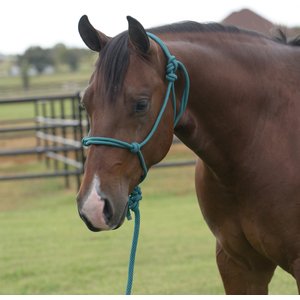 Equisential by Professional's Choice Rope Horse Halter with Lead, Emerald, 8-ft long