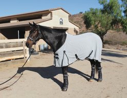 Theramics by Professional's Choice Theramic Horse Sheet, Black/Charcoal, Small