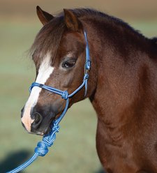 Professional's Choice Easy On Rope Horse Halter, Turquoise, Mini