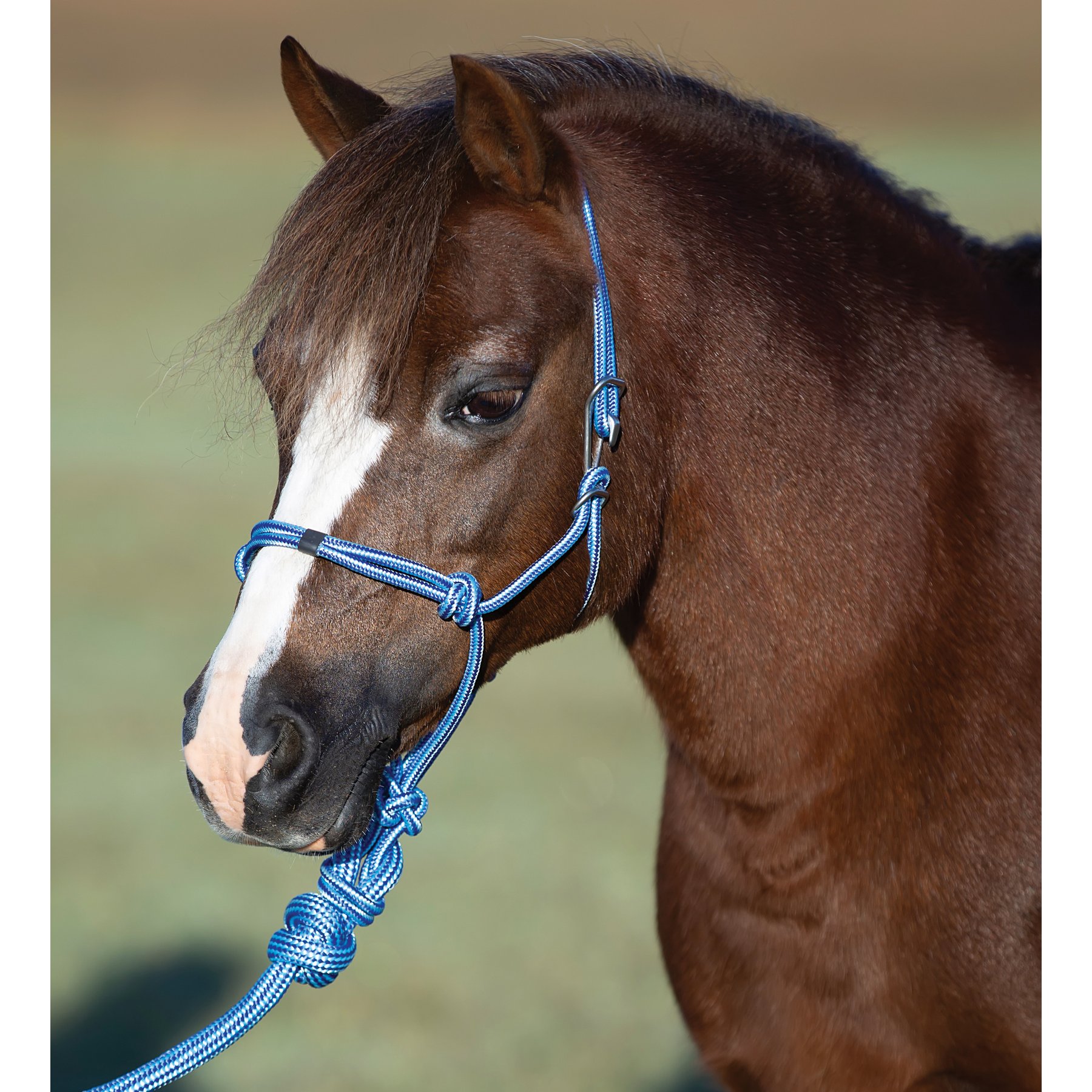 Professional's Choice Easy On Rope Horse Halter, Turquoise, Pony