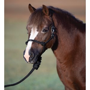 Professional's Choice Easy On Rope Horse Halter, Black, Pony