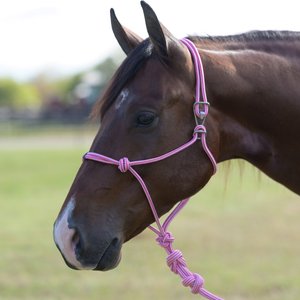 Professional's Choice Easy On Rope Horse Halter with Lead, Pink, 10-ft