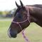 Show in main carousel: Professional's Choice Easy On Rope Horse Halter with Lead, Pink, 10-ft slide 1 of 2
