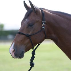 Professional's Choice Easy On Rope Horse Halter with Lead, Black, 10-ft slide 1 of 2