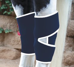 Professional's Choice Horse Magnetic Hock Boot, Navy, Universal, 2 count