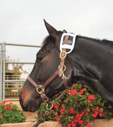 Professional's Choice Horse Magnetic Poll Piece, Navy, 17-in