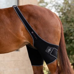 Professional's Choice Theramic Stifle Horse Wrap, Black, 2 count