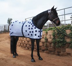 Professional's Choice Horse Magnetic Blanket, White, 70-in