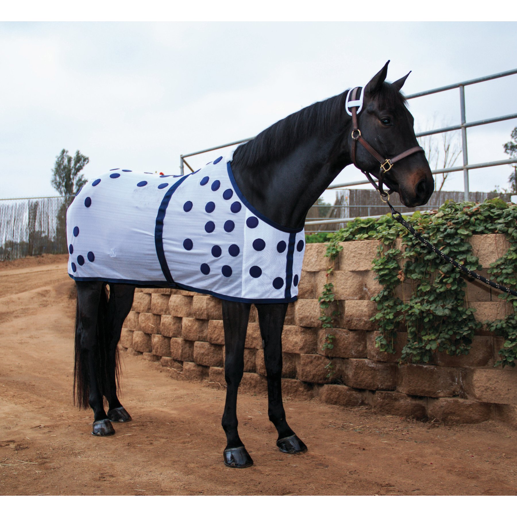 Professional's Choice Horse Magnetic Blanket, White, 74-in
