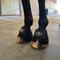 Show in main carousel: Professional's Choice Ice Bell Horse Boot, Black, Medium, 2 count slide 1 of 1