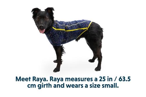 Show full view: Ruffwear Climate Changer Polka Dot Dog Jacket, Galaxy, Small slide 8 of 9