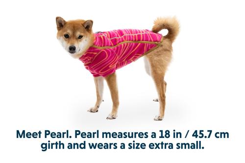 Show full view: Ruffwear Climate Changer Stripes Dog Jacket, Strata, X-Small slide 7 of 8