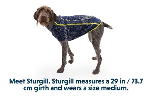 Show full view: Ruffwear Climate Changer Polka Dot Dog Jacket, Galaxy, Small slide 9 of 9
