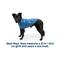 Show in main carousel: Ruffwear Climate Changer Solid Dog Jacket, Blue Jay, Small slide 7 of 8