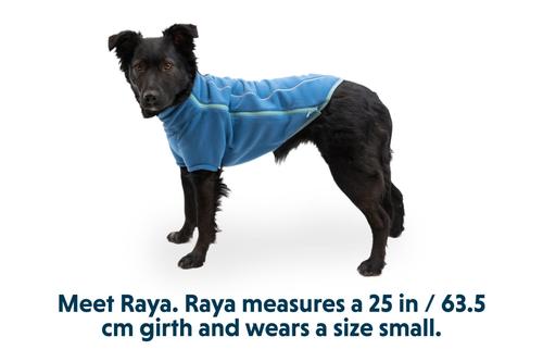Show full view: Ruffwear Climate Changer Solid Dog Jacket, Blue Jay, Small slide 7 of 8