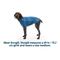 Show in main carousel: Ruffwear Climate Changer Solid Dog Jacket, Blue Jay, Small slide 8 of 8