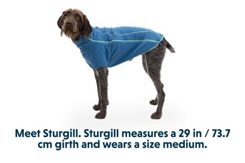 Show full view: Ruffwear Climate Changer Solid Dog Jacket, Blue Jay, Small slide 8 of 8