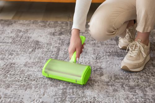 Show full view: Evercare Pet Plus Reusable Dog & Cat Hair Remover, Green slide 5 of 7