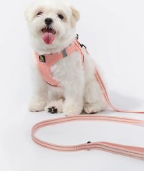 Bella & Pal OxyMesh Velcro Step-in Harness & Leash Set, Coral Pink, XX-Small slide 2 of 6