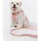 Show in main carousel: Bella & Pal OxyMesh Velcro Step-in Harness & Leash Set, Coral Pink, X-Small slide 6 of 7