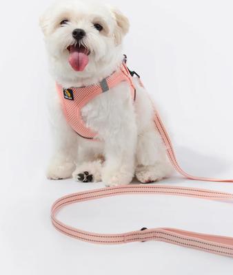 Show full view: Bella & Pal OxyMesh Velcro Step-in Harness & Leash Set, Coral Pink, X-Small slide 6 of 7