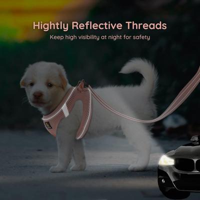 Show full view: Bella & Pal OxyMesh Velcro Step-in Harness & Leash Set, Coral Pink, X-Small slide 3 of 7