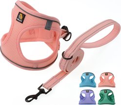 Bella & Pal OxyMesh Velcro Step-in Harness & Leash Set, Coral Pink, Small