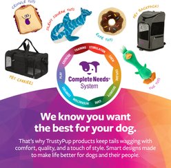 TrustyPup Chocolate Donut Dog Toy, Brown, Large slide 2 of 7