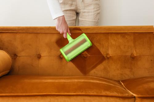 Show full view: Evercare Pet Plus Reusable Dog & Cat Hair Remover, Green slide 7 of 7