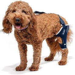 Balto Jump Dog Knee Brace, Small- Left