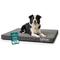 Show in main carousel: FurHaven Deluxe Oxford Orthopedic Indoor/Outdoor Dog & Cat Bed with Removable Cover, Large, Stone Grey slide 1 of 11