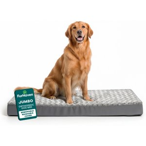 Fable Pets Memory Foam Cat & Dog Bed