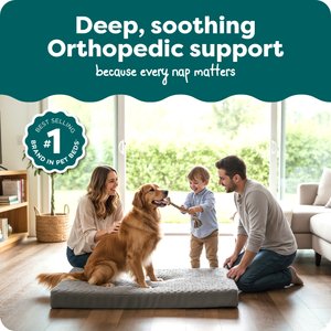 FurHaven NAP Ultra Plush Orthopedic Deluxe Cat & Dog Bed with Removable Cover, Gray, Jumbo