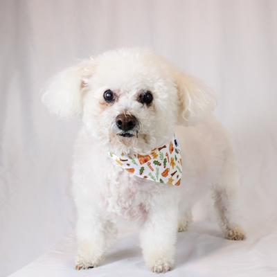 Show full view: Dog Bandana Co. Gingerbread Tie On Dog Bandana, White, Small slide 4 of 4