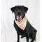 Show in main carousel: Dog Bandana Co. Gingerbread Tie On Dog Bandana, White, Small slide 2 of 4