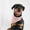 Show in main carousel: Dog Bandana Co. Classic Holiday Truck Tie On Dog Bandana, Red, Medium slide 4 of 4