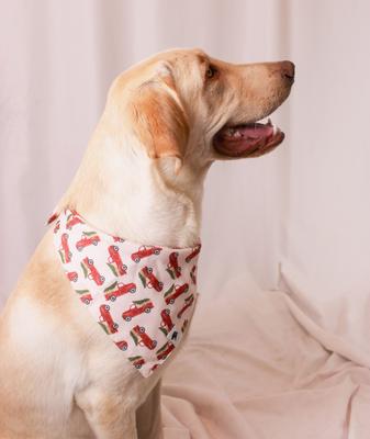 Show full view: Dog Bandana Co. Classic Holiday Truck Tie On Dog Bandana, Red, Medium slide 2 of 4