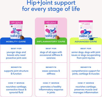 Show full view: Native Pet Hip & Joint Inflammatory Care Chews for Dogs, 120 count slide 9 of 10