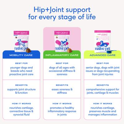 Show full view: Native Pet Hip & Joint Inflammatory Care Chews for Dogs, 60 count slide 10 of 11