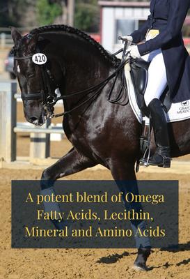 Show full view: Grand Meadows Grand Coat Nutritional Powder Horse Supplement, 5-lb tub slide 4 of 7